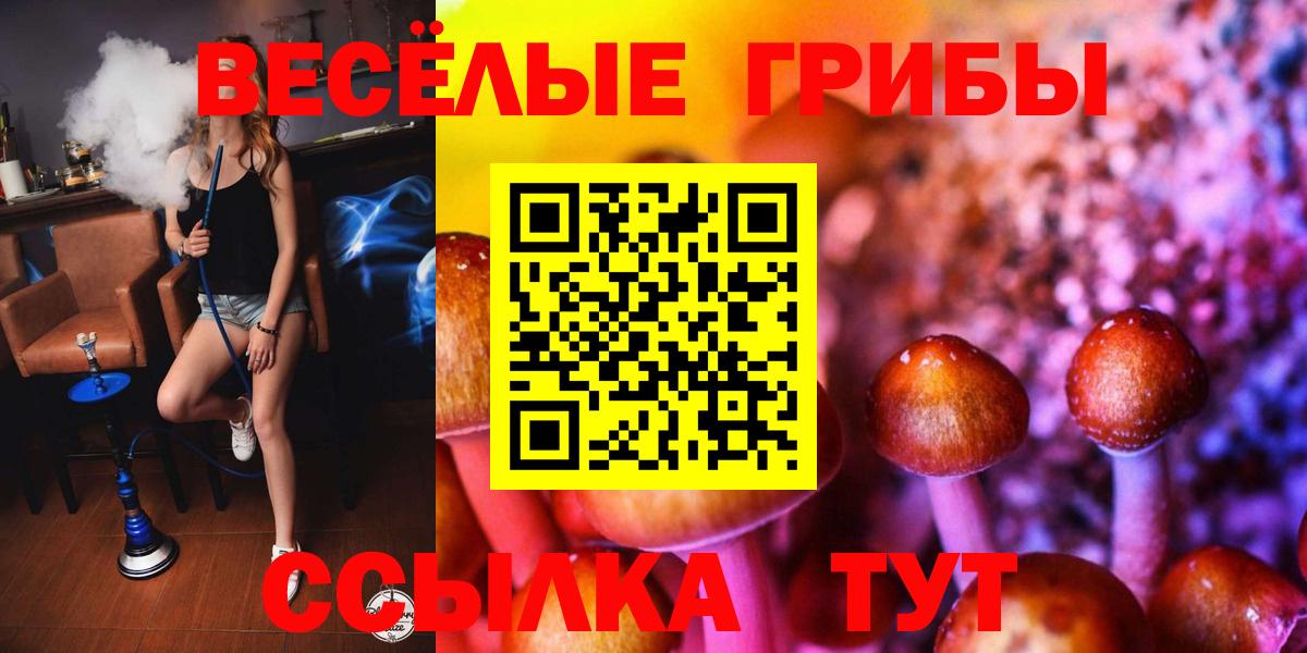 Сорочинск  Псилоцибиновые грибы ЛСД  Вход с VPN 